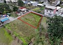 壽豐鄉-土地，215.8坪
