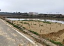 新屋區-土地，901.1坪