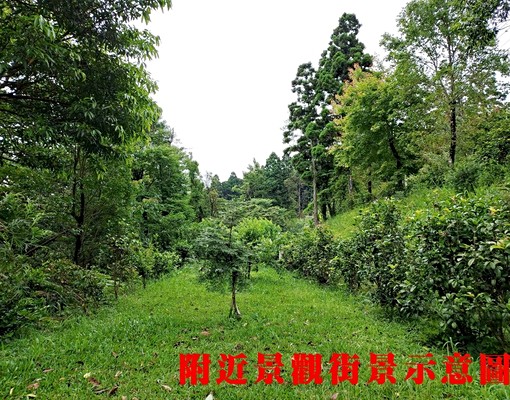 物件圖片