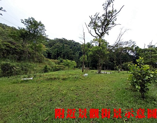 物件圖片