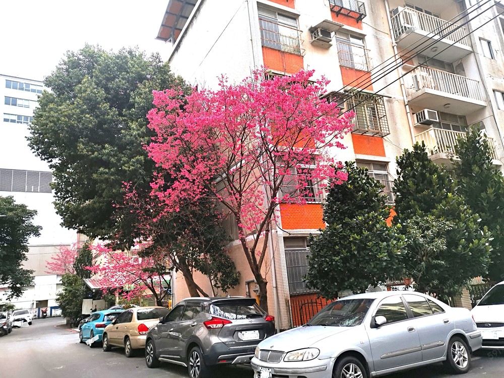 房屋圖片