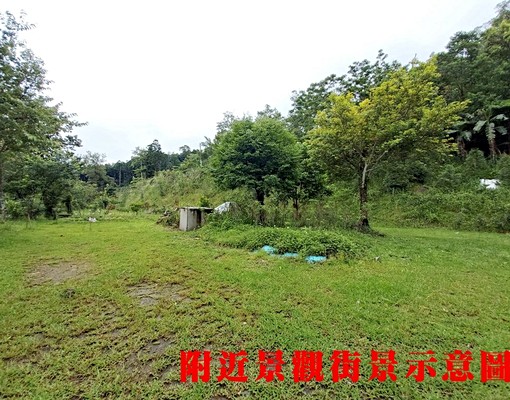 K878插角龍脈景觀水蜜桃農場💖中信劉蕙蘭