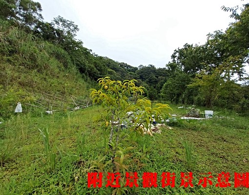 物件圖片