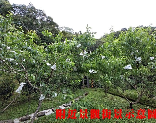 物件圖片