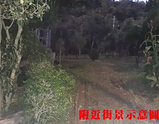 物件圖片