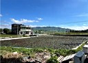 苑裡鎮-土地，254.1坪
