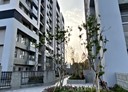 斗六市-文化路2房2廳，35.9坪