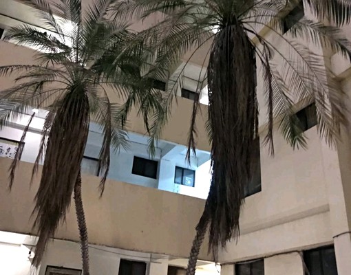 🔊東大學生上班族最佳選擇"高CP值"謝絕房仲‘’可租補 - Image 4