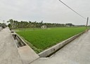 竹田鄉-大成路土地，801.9坪