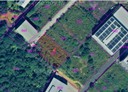 龍潭區-高楊北路土地，589.2坪