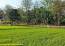 歸仁區-中正北路二段土地，490坪
