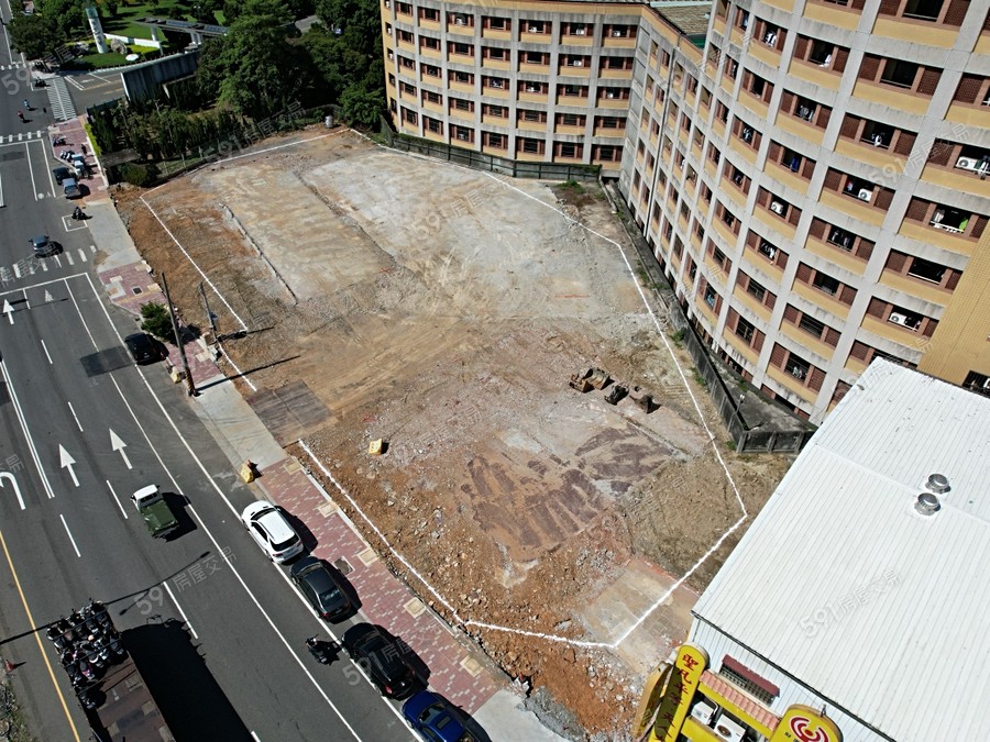 三貴星空樹實景圖