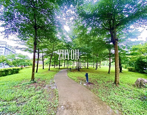 昆陽*中視*向陽大綠地重陽採光公園三房 - Image 2