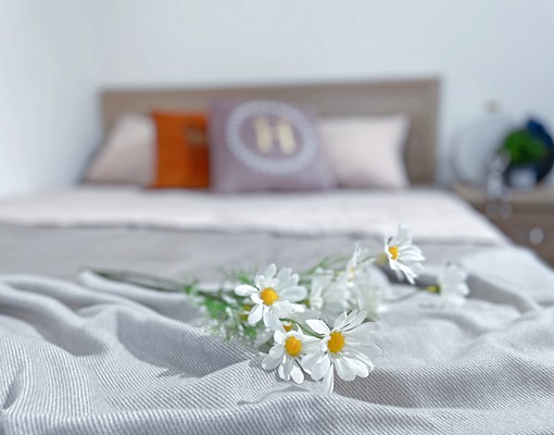 西屯逢甲橋光|全新套房可養寵物🐾租屋補助💰有電梯 - Image 4