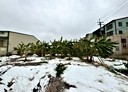 大雅區-土地，346坪