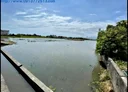 五結鄉-土地，905.4坪