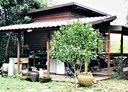 公館鄉-北河段土地，2361.6坪