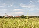 阿蓮區-土地，6100.4坪