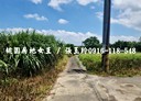龍潭區-土地，439坪
