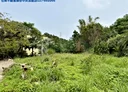 頭份市-觀音段土地，2497坪