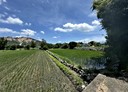 后里區-土地，171.6坪