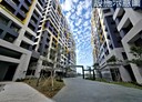 竹東鎮-旭光一路其他，46.5坪