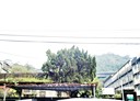 汐止區-土地，998坪