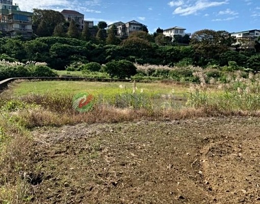 ❤️淡水新市鎮二期一❤️稀有農地多筆持分地出售