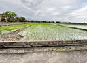 三星鄉-土地，397.4坪
