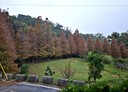 通霄鎮-土地，1386坪