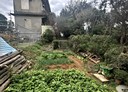 楊梅區-土地，101.6坪