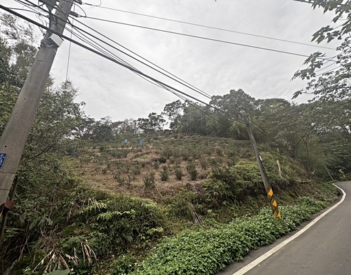 超便宜春谷餐廳旁茶園農牧用地