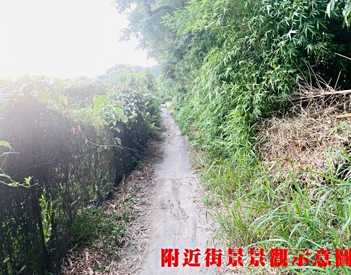 柑園開心農地