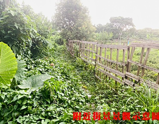物件圖片