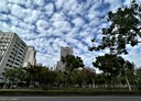 苓雅區-四維三路店面，44.1坪