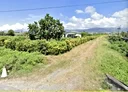 台東市-土地，800.1坪