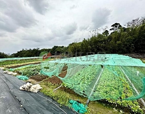 物件圖片