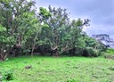 頭城鎮-土地，1034.6坪