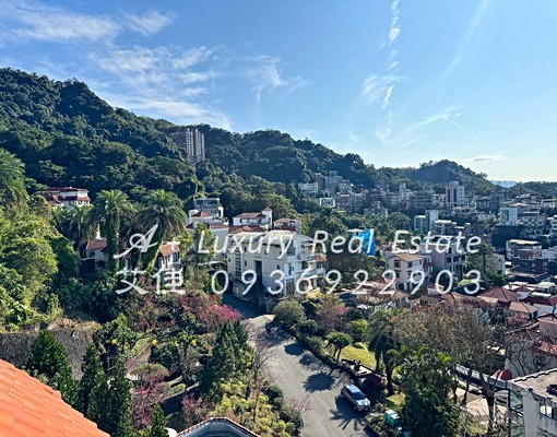 信義區稀有大庭院電梯別墅上林苑山景101採光極佳 - Image 13