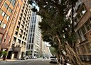 中正區-杭州南路一段4房2廳，109.4坪