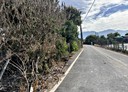 萬丹鄉-廣安段土地，756坪