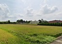 大園區-土地，817.8坪