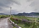 玉井區-佛聖段土地，7401.5坪