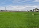 觀音區-土地，937.8坪