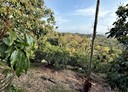 番路鄉-內甕段土地，1129.8坪