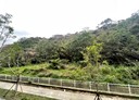 蘆竹區-埤腳街3房2廳，43.4坪