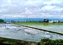 礁溪鄉-玉田段土地，879.1坪