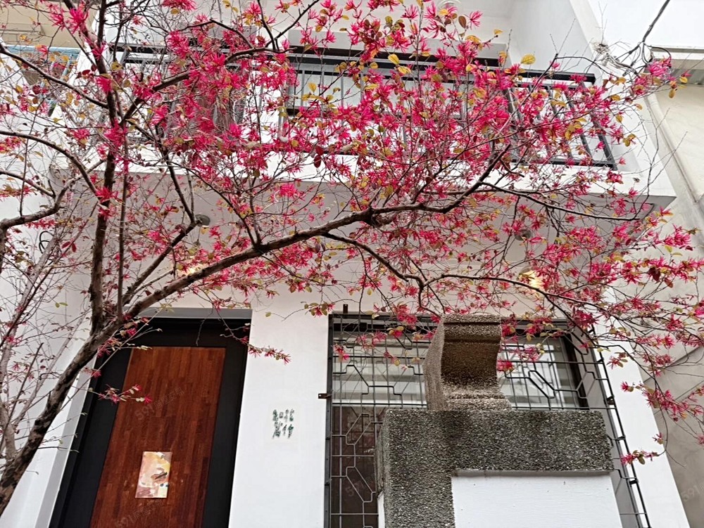 房屋圖片