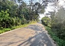 龍潭區-土地，1267.3坪