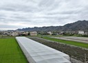 美濃區-竹頭角段土地，763.2坪
